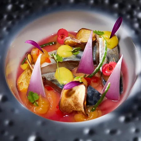 Отель Occidental 4*