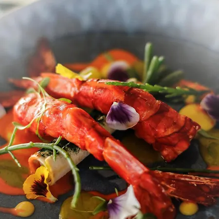 Отель Occidental 4*