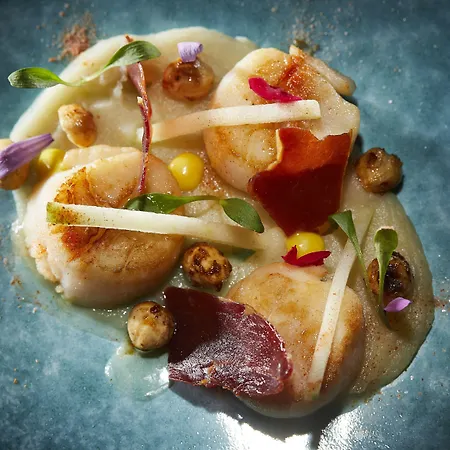 Occidental Отель